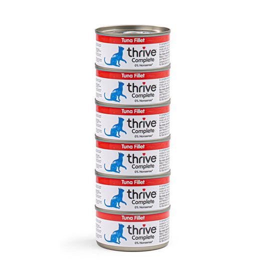 Tuna Fillet