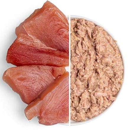 Thrive Kitty tuna fillet in natural lighting, showing fresh, flaky tuna slices suitable for cat treats or meals.